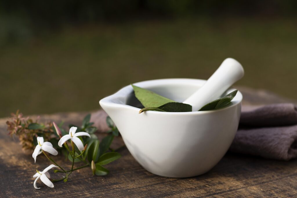 close up bowl with plants