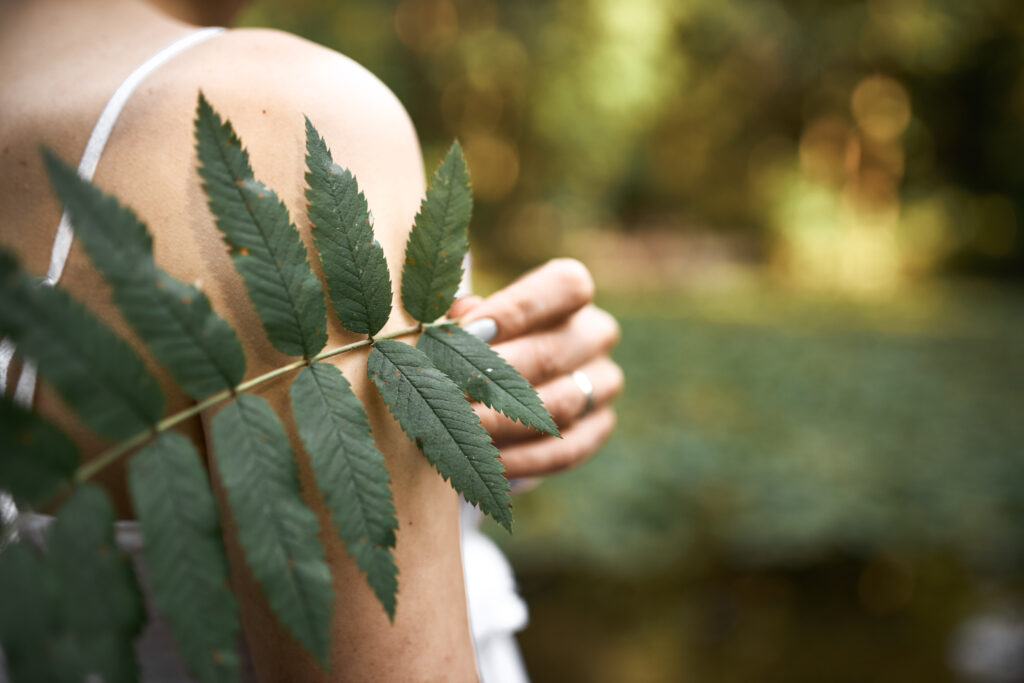 conexão com a natureza
